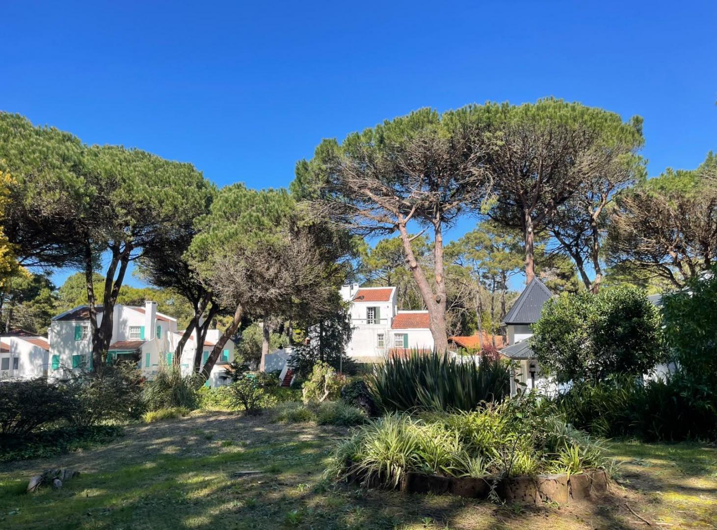 Foto de Terreno en Zona Norte Playa- Pinamar, imagen 2