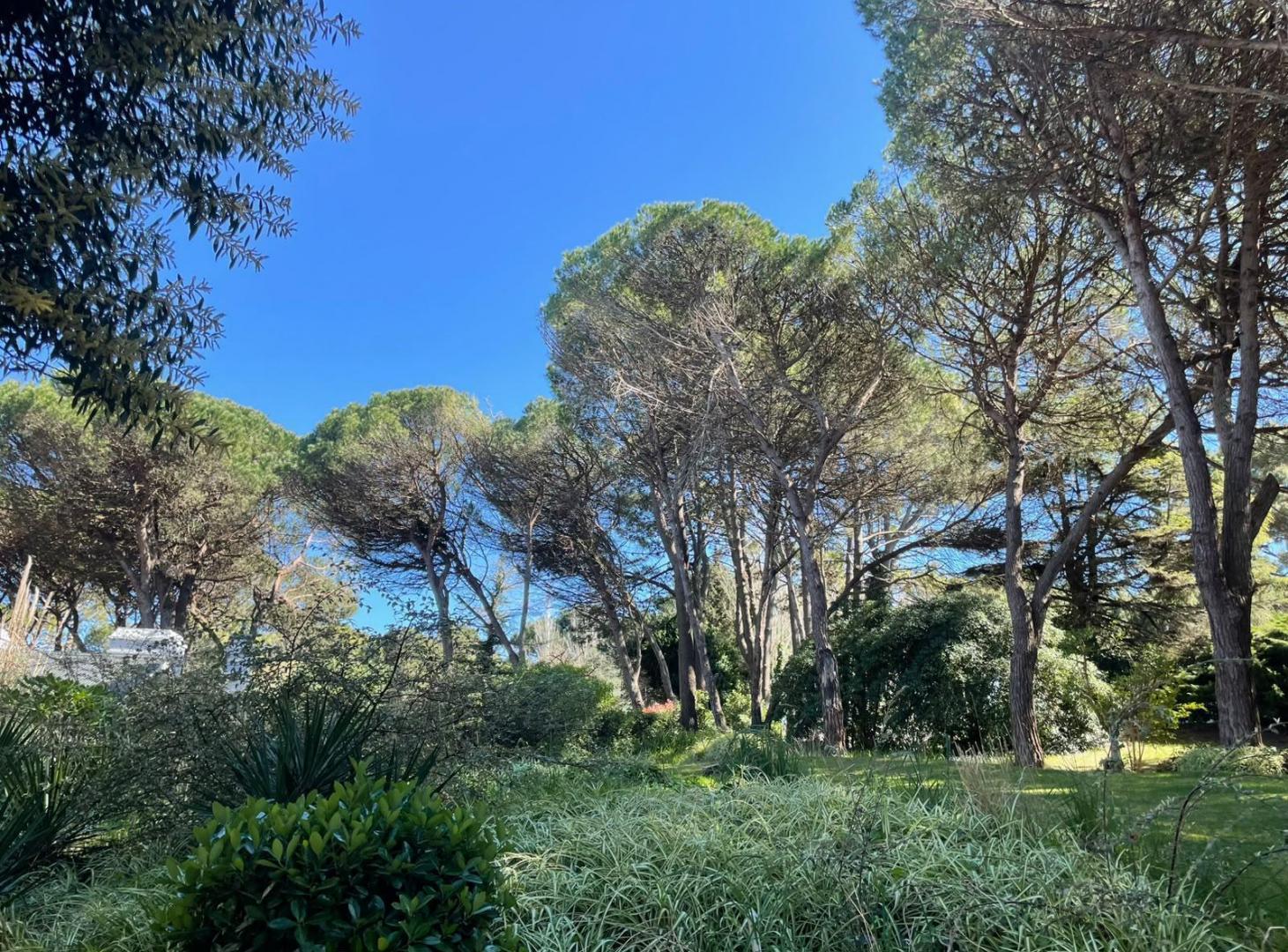 Foto de Terreno en Zona Norte Playa- Pinamar, imagen 5