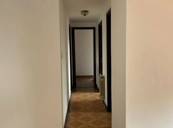 Departamento en Constitución 2
