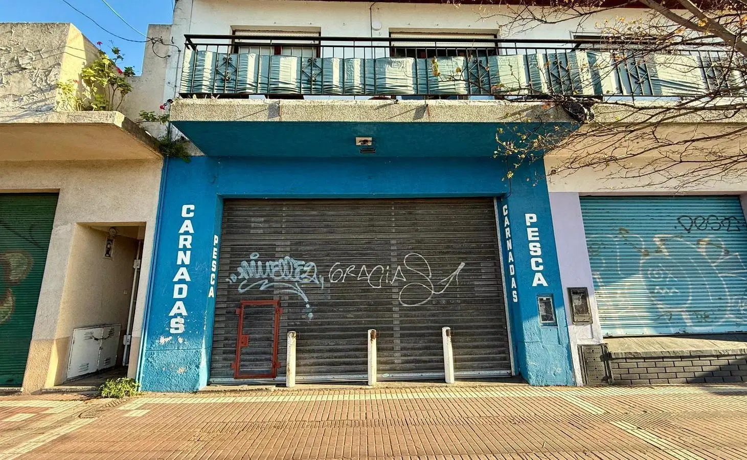 Local en Mar Del Plata 4