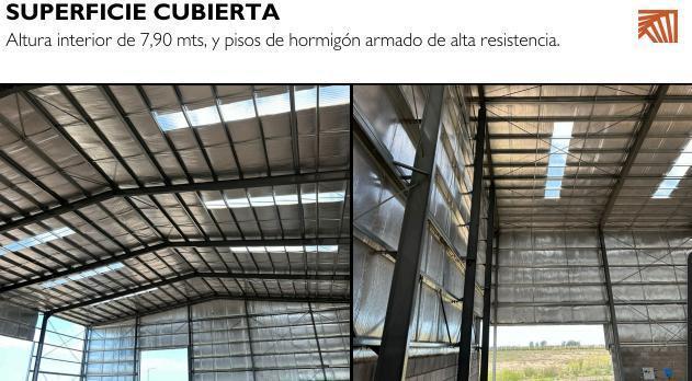 Foto de Galpón en Ruta 88, imagen 5