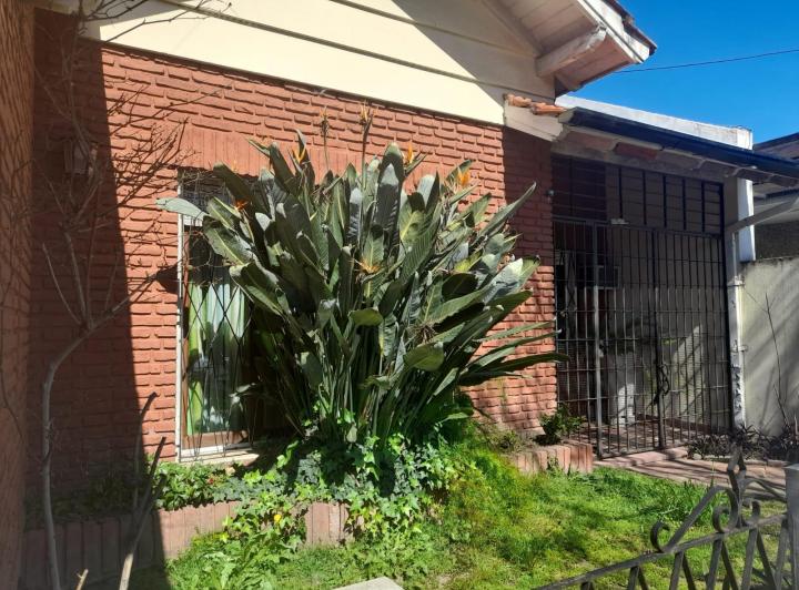 Casa en Olivos 4