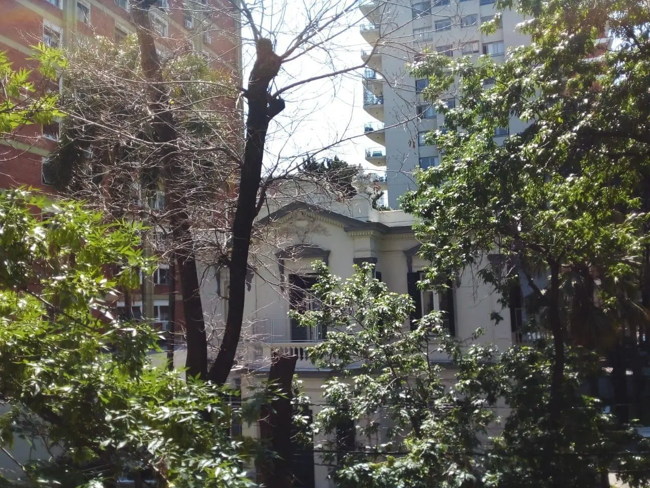 Departamento de 2 ambientes en Belgrano R 2