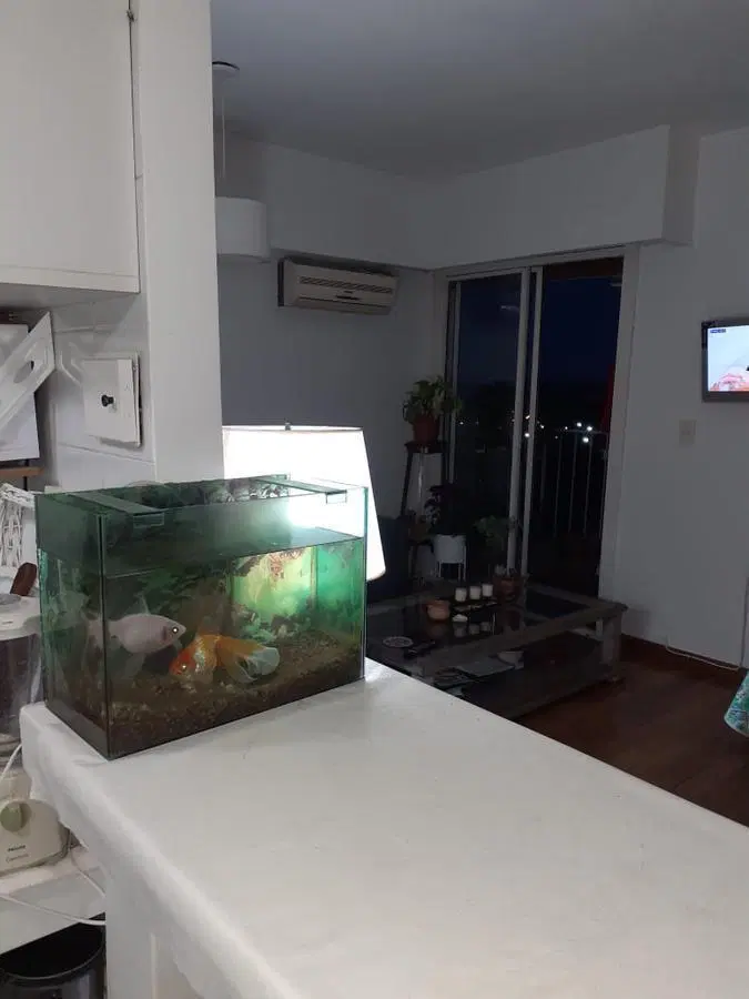 Departamento - Olivos-Vias/Rio 5