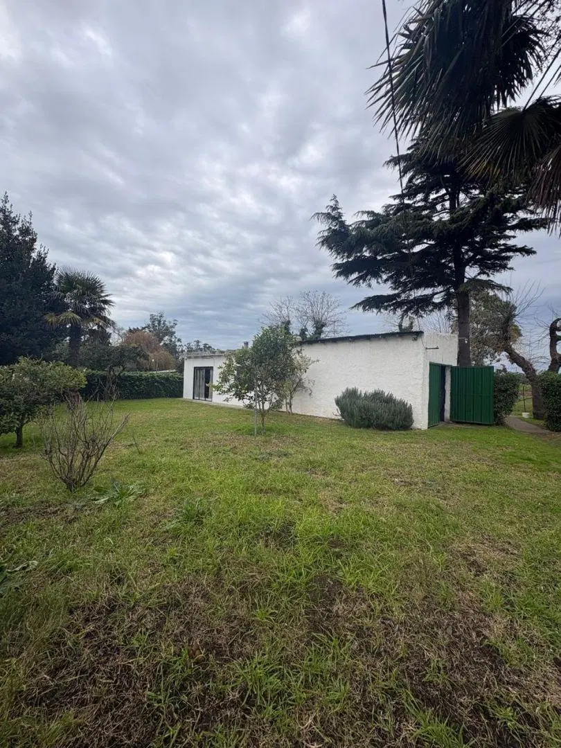 CASA QUINTA EN AMPLIO LOTE, KM3 RUTA 88 4