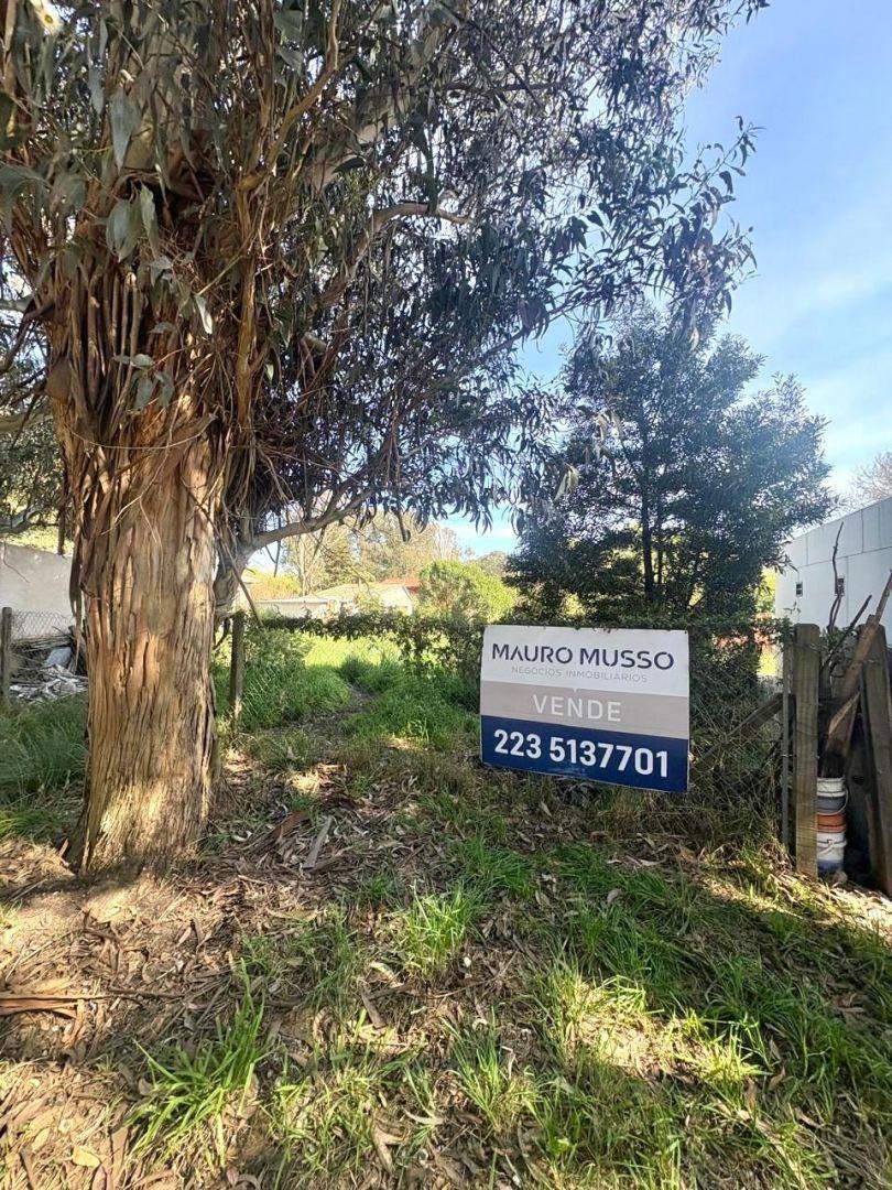 Foto de Terreno en venta de amplias dimensiones con una superficie de 404,88 m², imagen 1