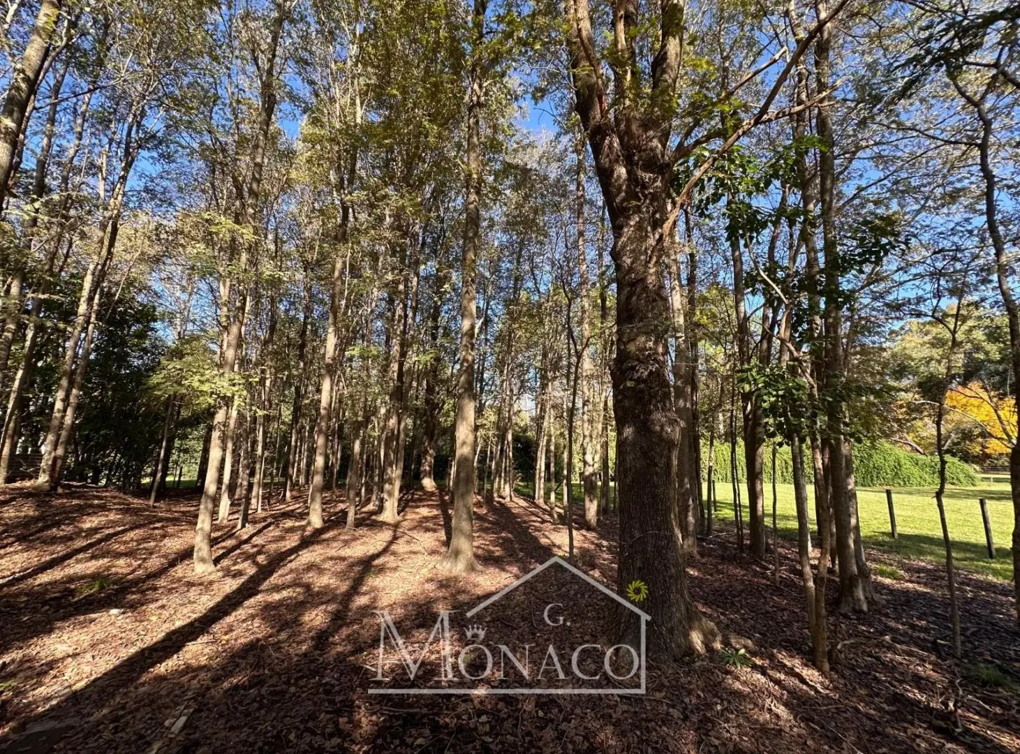 Casa en Venta en El Argentino Farm Club Luján 5