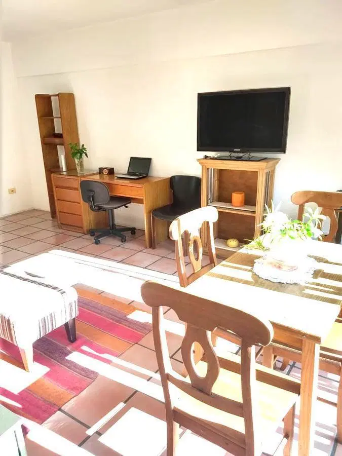HERMOSO ESTUDIO AMOBLADO Y EQUIPADO, TODO LUZ Y SOL 2
