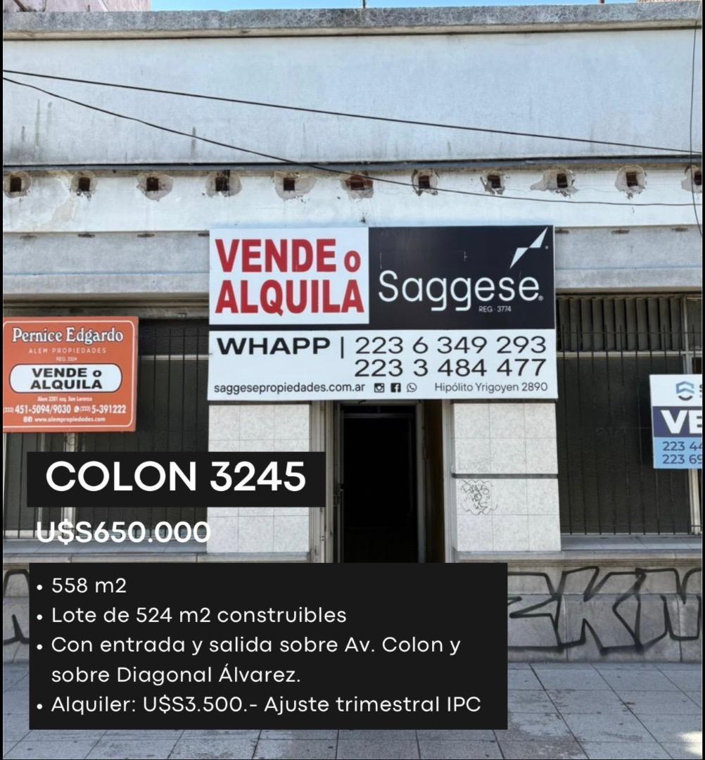 Foto de Alquiler lote de terreno sobre av Colón, imagen 3