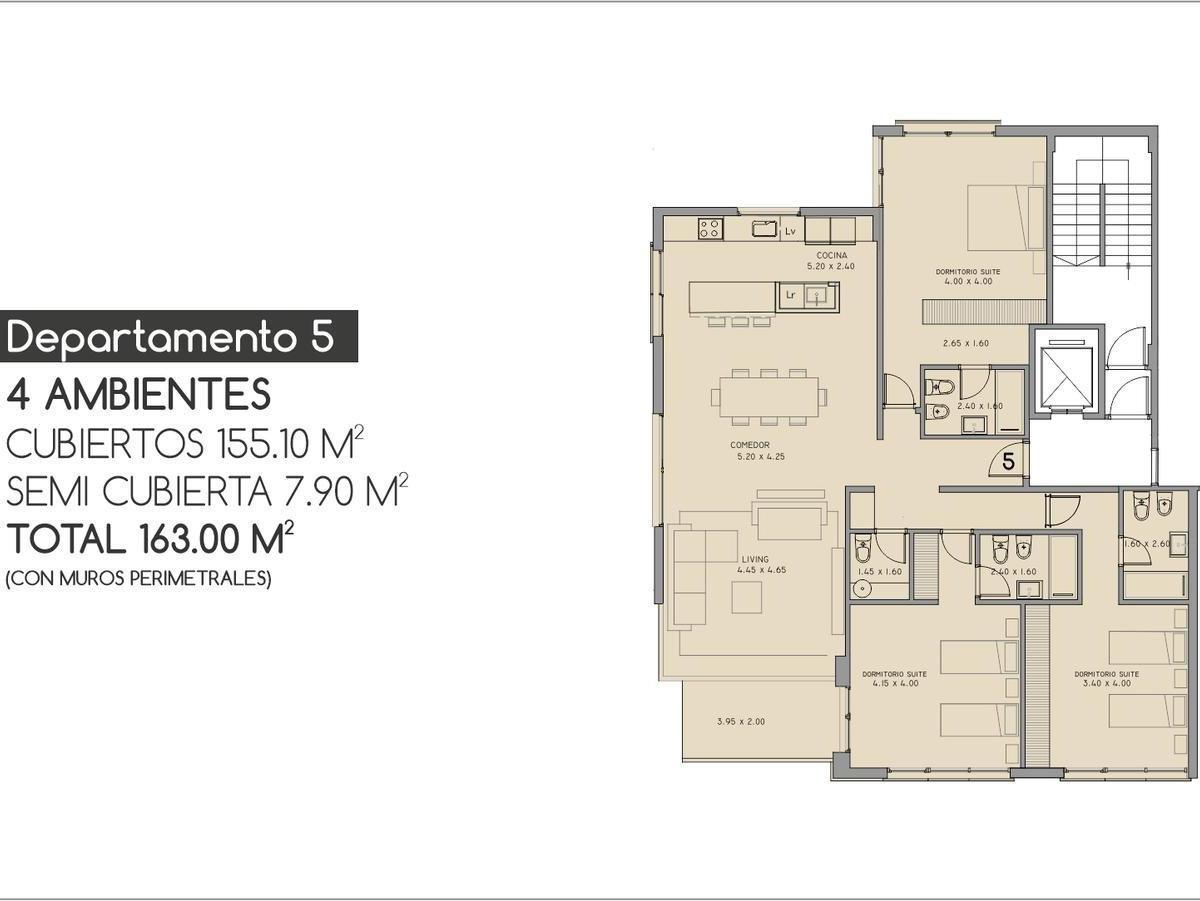 Plano 6