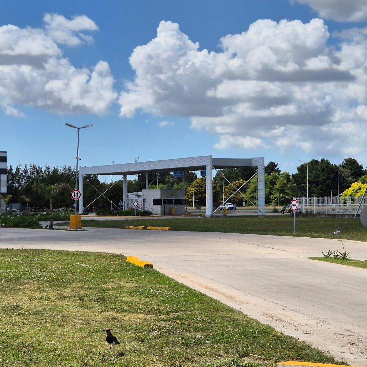 Galpón en Polo 226 2