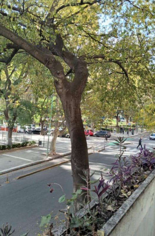 Departamento - Belgrano 5
