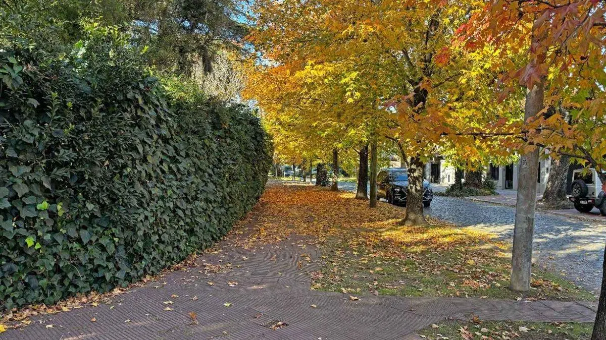 TERRENO 1145 m2, SAN ISIDRO, BARRIO AGUIRRE 3