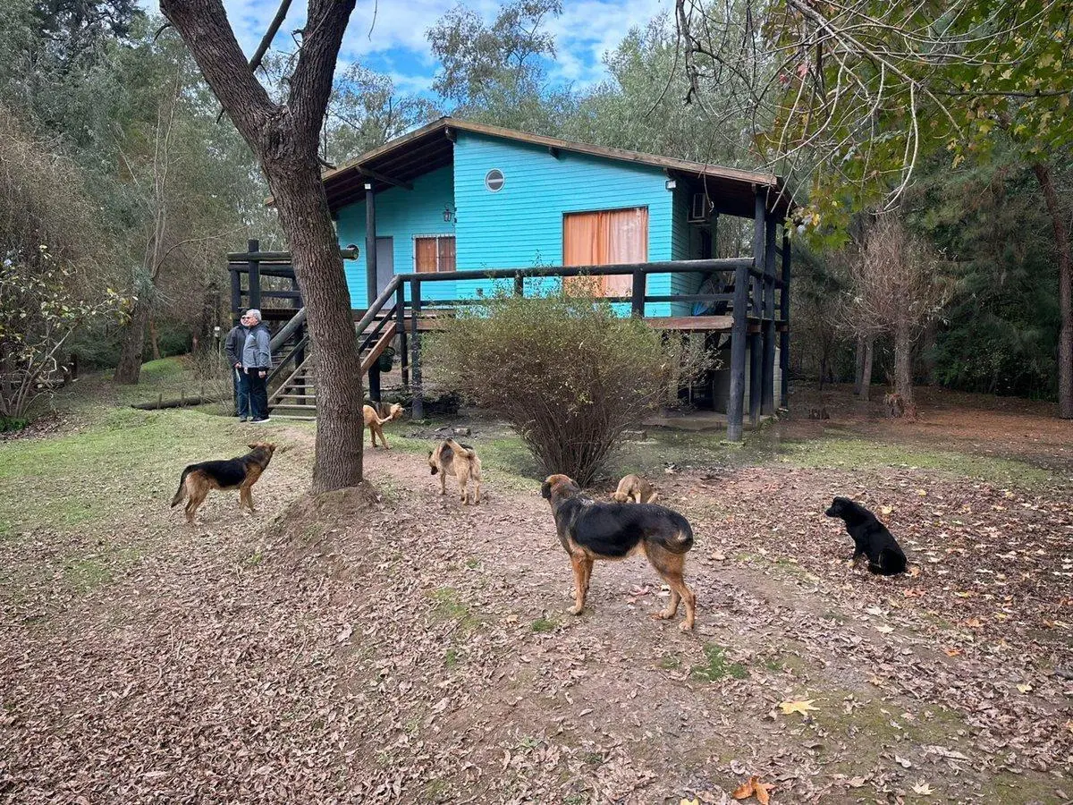 VENTA CASA 2 AMBIENTES RIO CARAPACHAY DELTA TIGRE 3