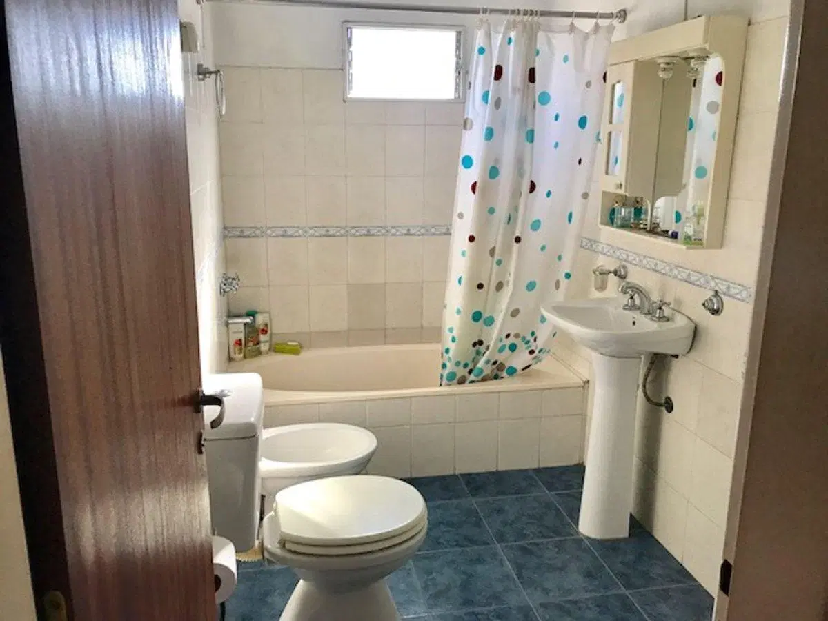 Venta 2 casas, local ,Boulogne, San Isidro 8