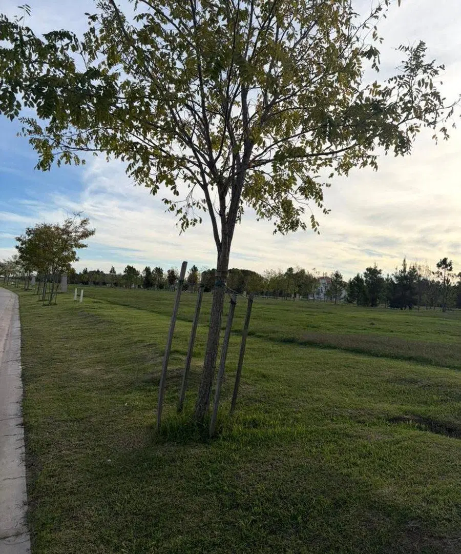 Gran Lote  en Barrio cerrado Pride Canning 5