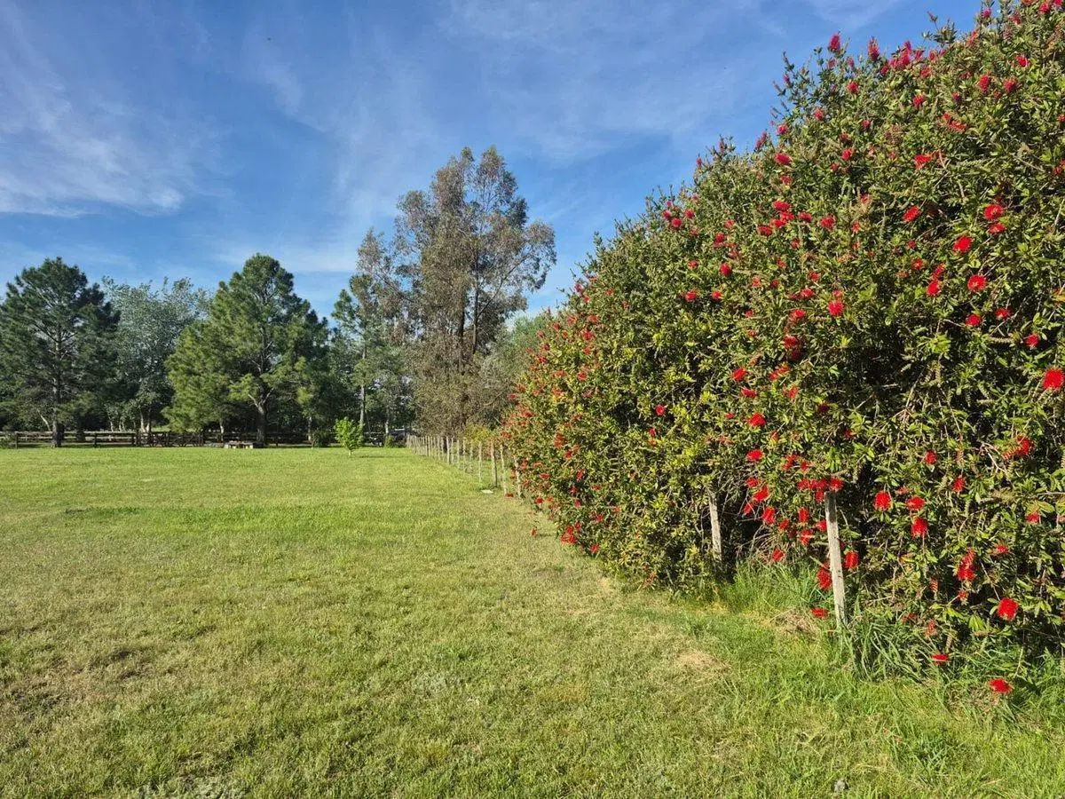 VENTA LOTE CLUB DE CAMPO HARAS EL MALACATE 2