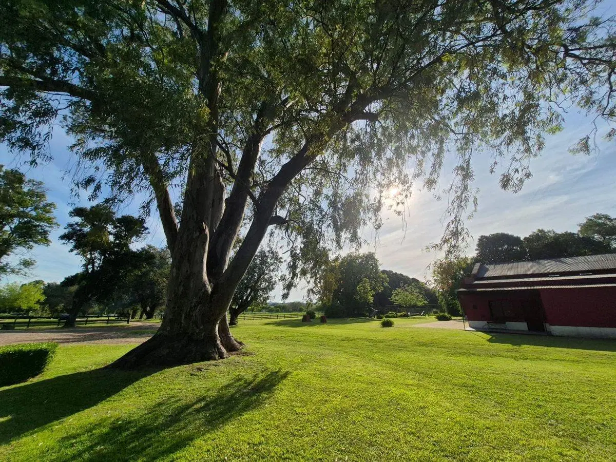 VENTA LOTE CLUB DE CAMPO HARAS EL MALACATE 5