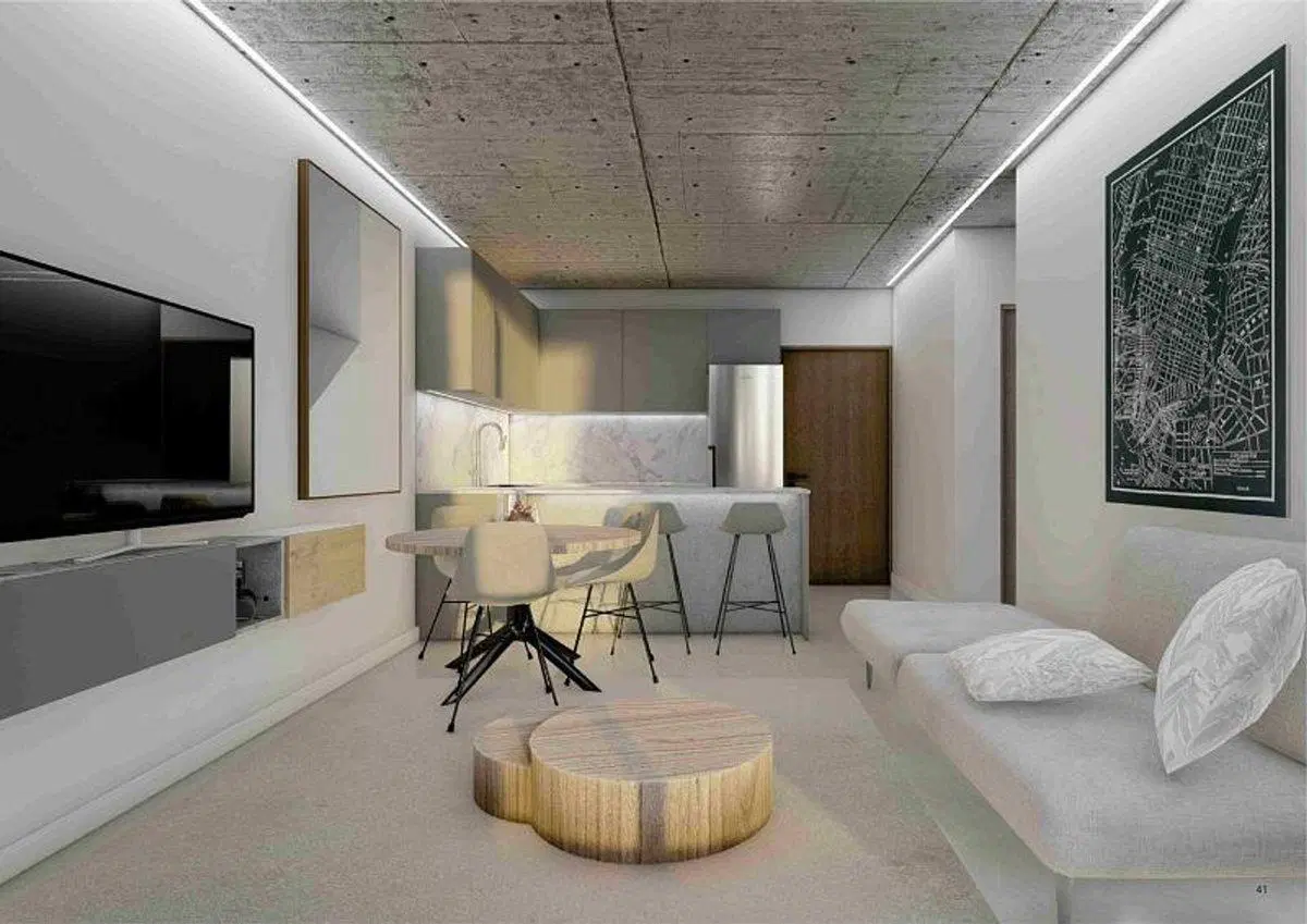 Vende monoambiente Brickell Joven Tigre 4