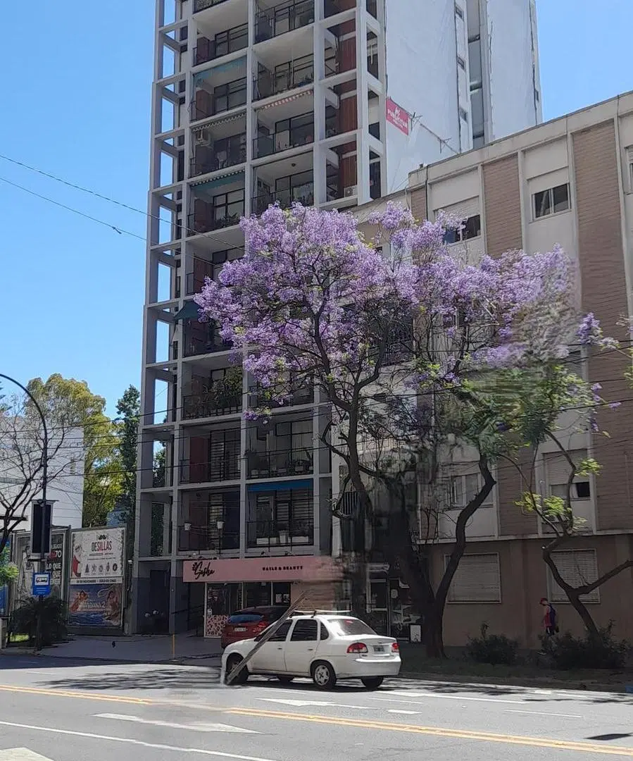 VENTA DEPARTAMENTO 3 DORMITORIOS BALCON 5