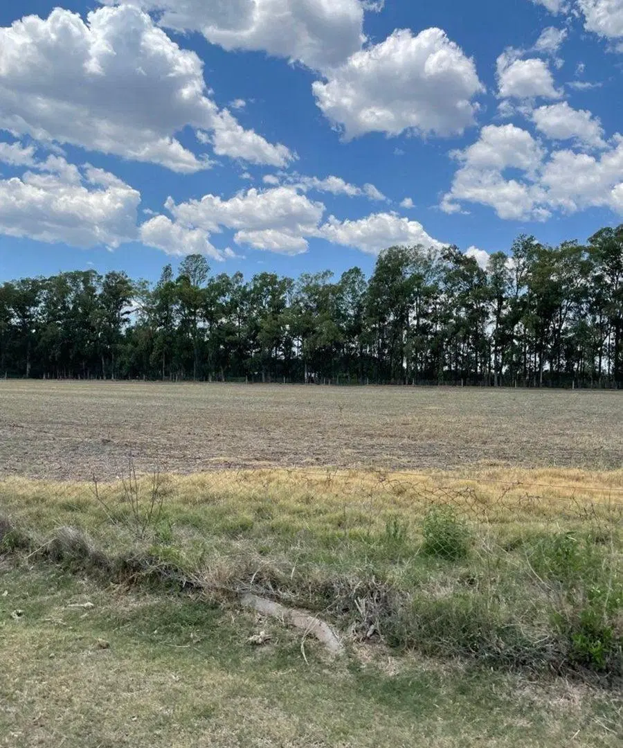 24 Ha sobre Ruta 41  Complejo Comercial renta 4