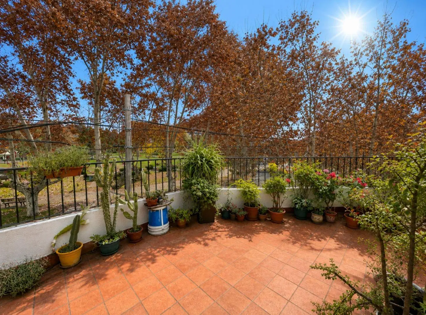 Esquina en Venta en Bella Vista Casa + 2 locales. 4