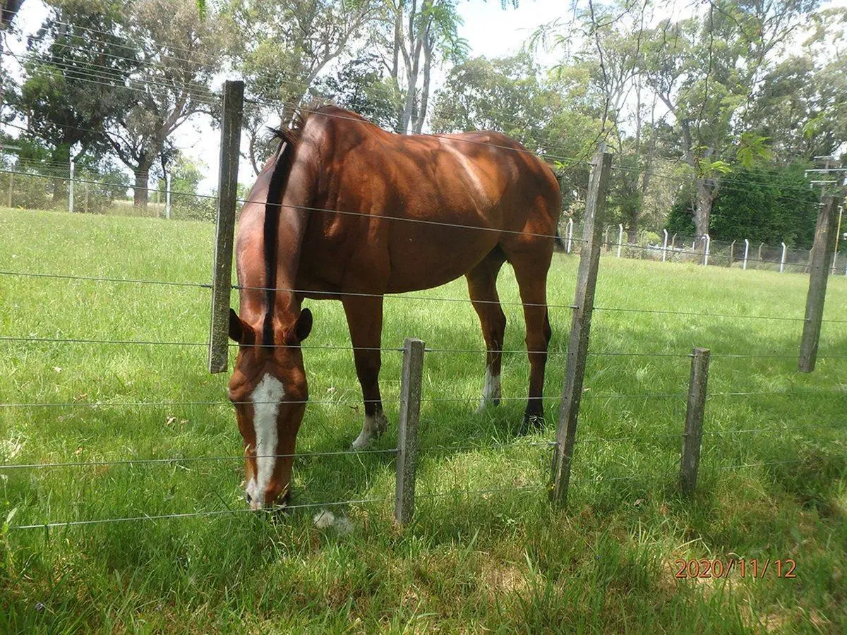 Lote Country El Paraiso 700 m2 5