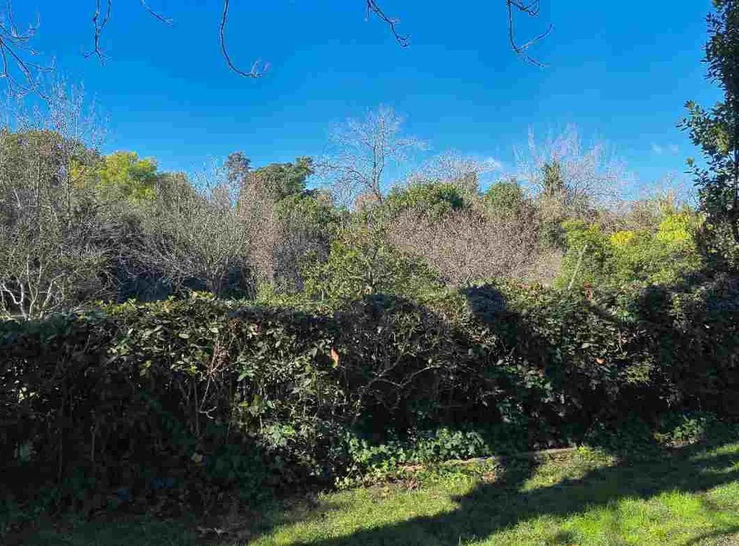 venta lote quinta la reja moreno 4