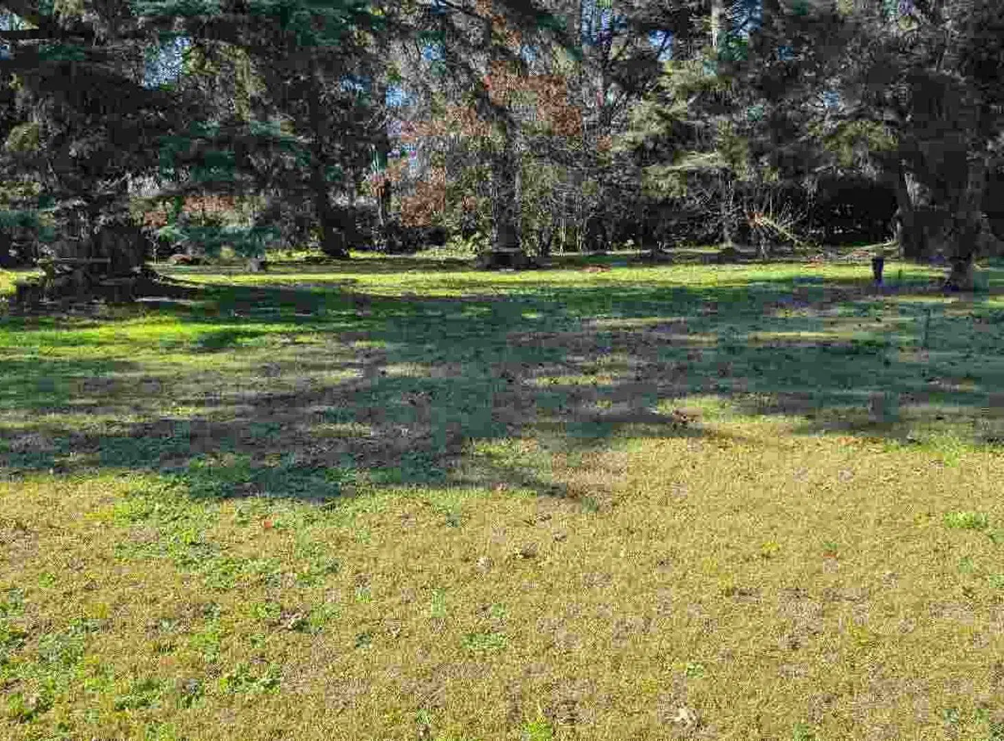 venta lote quinta la reja moreno 5