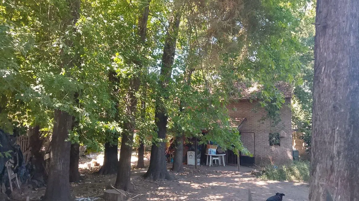 Venta Lote en Bloque 1700m2 General Rodriguez 8