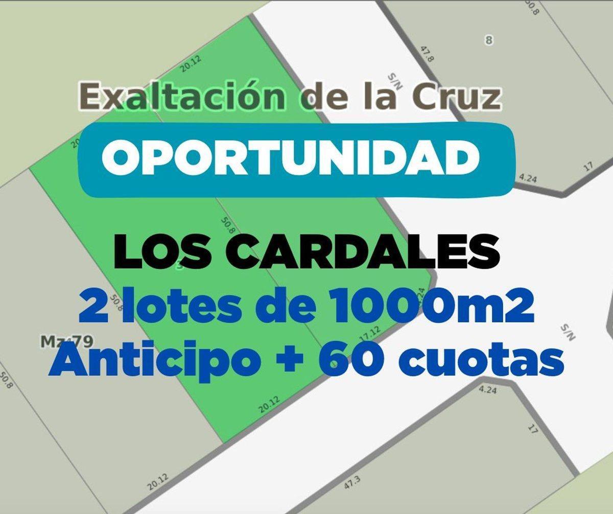 Foto de LOTE VENTA LOS CARDALES (FINANCIABLE A 5 AÑOS), imagen 1