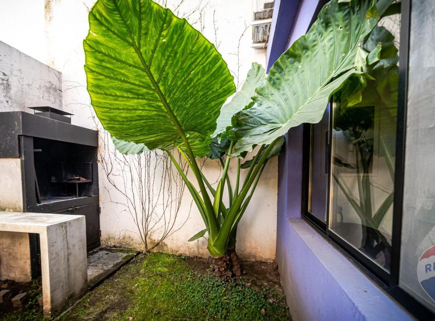 Impecable PH en Parque Chas - Jardin - Terrazas 3
