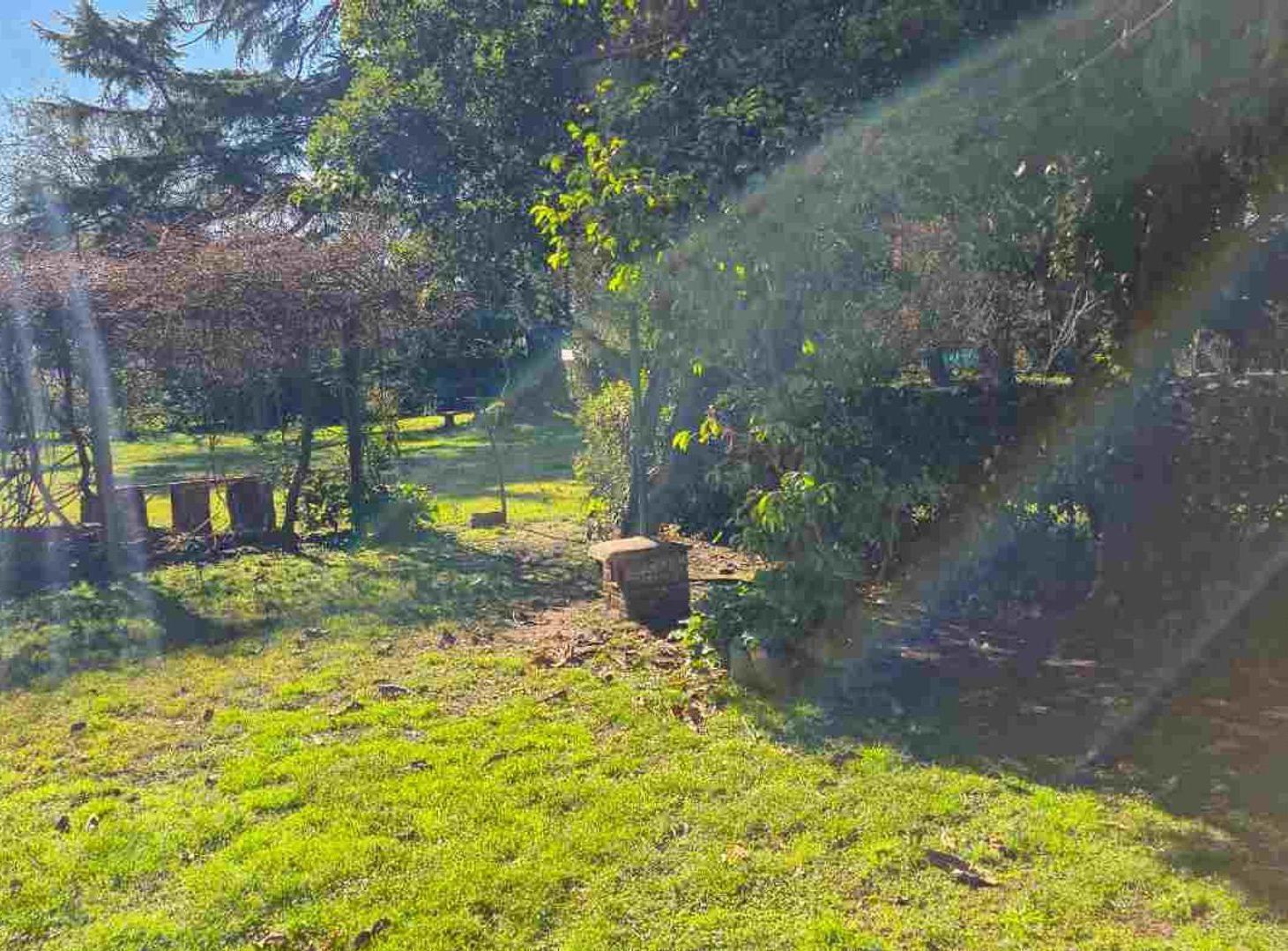 Foto de venta lote quinta la reja moreno, imagen 5