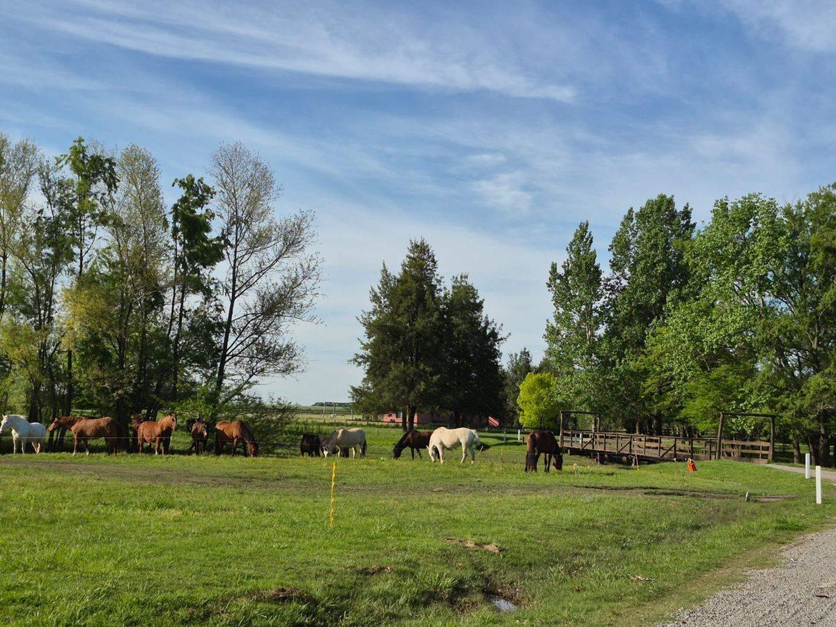 Foto de VENTA LOTE CLUB DE CAMPO HARAS EL MALACATE, imagen 4