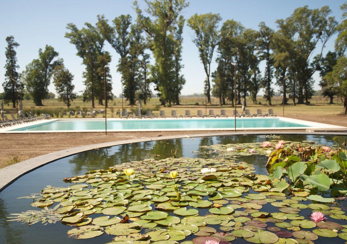 Foto de Venta de Lote en "Villa de campo Tres Pinos", imagen 3