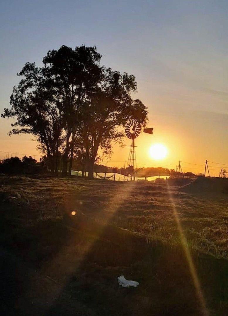Foto de VENTA CASA QUINTA LOTE GRAL.RODRIGUEZ 4 AMBIENTES, imagen 3