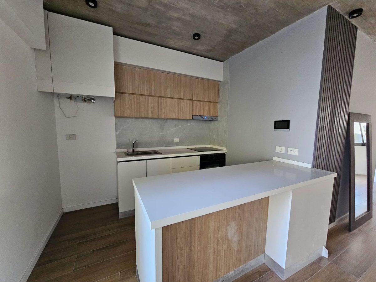 Foto de ALQUILER MONOAMBIENTE DIVISIBLE A ESTRENAR PALERMO, imagen 1