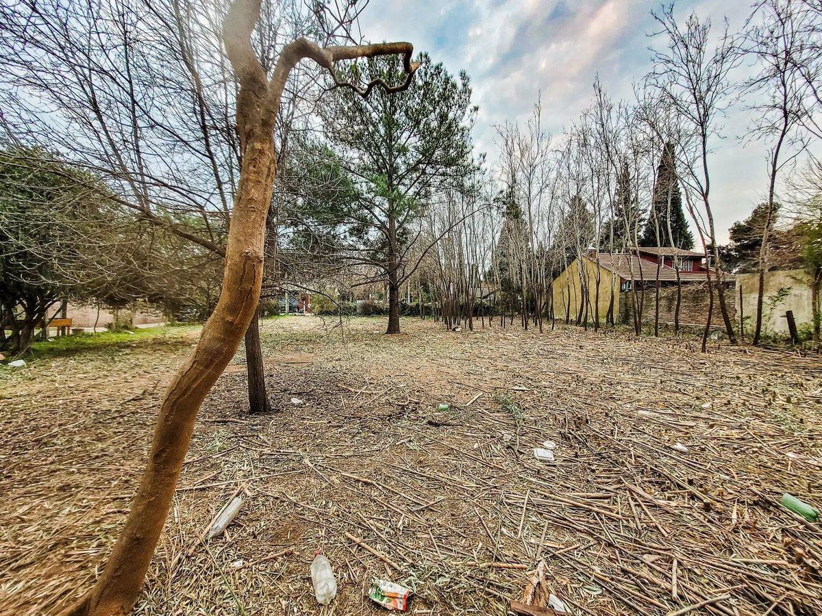 Foto de VENTA LOTE PILAR PARA EMPRENDIMIENTO POTENCIAL, imagen 5