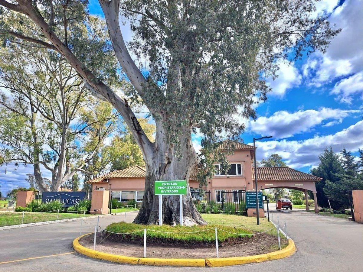 Foto de VENTA LOTE SAN LUCAS BUENA UBICACION, imagen 3