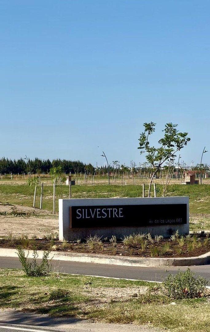 Foto de VENTA LOTE SILVESTRE NORDELTA CON FINANCIACIÓN, imagen 5