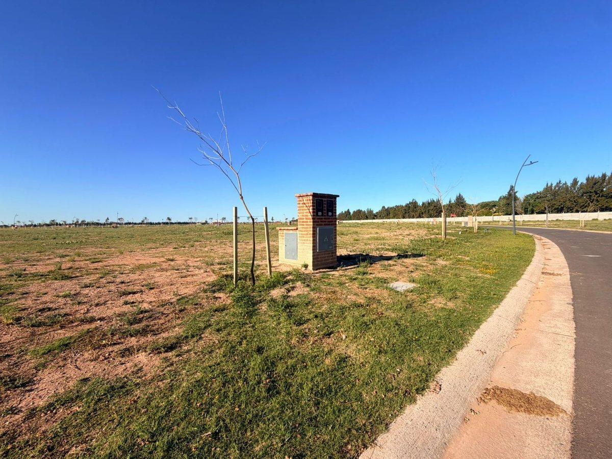 Foto de VENTA LOTE SILVESTRE NORDELTA CON FINANCIACIÓN, imagen 2