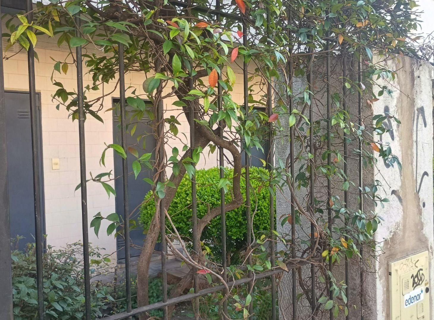 Foto de DEPARTAMENTO 4 AMB + COCH DESCUBIERTA BECCAR, imagen 4