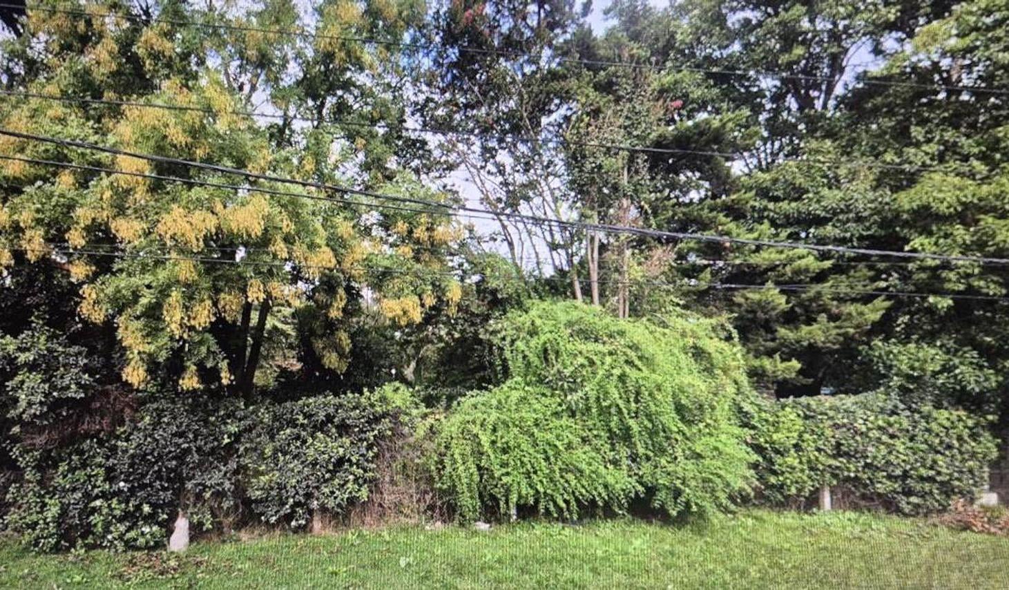 Foto de venta lote quinta la reja moreno, imagen 2