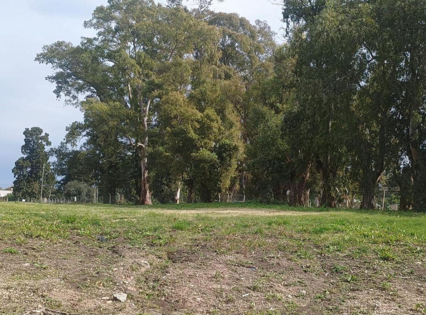 Foto de VENTA LOTE INTERNO EN LA POSTA PILAR – 376,36 M², imagen 3