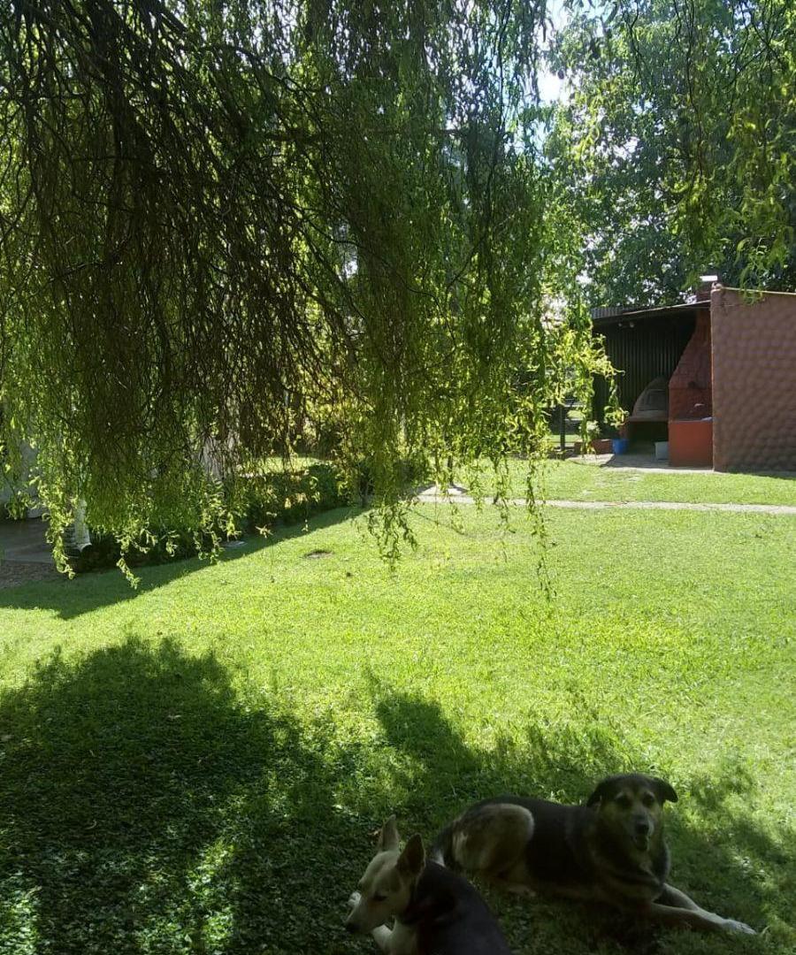 Foto de Quinta S/lote 1066 m² Exc Ubic Cuartel V Ruta 24 a 500 Mt R 25 - Exc, imagen 4