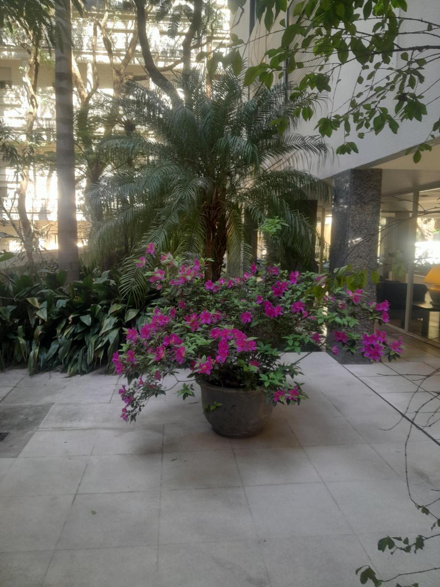 Venta 6 Ambientes Torre y Cochera Embajadas 5