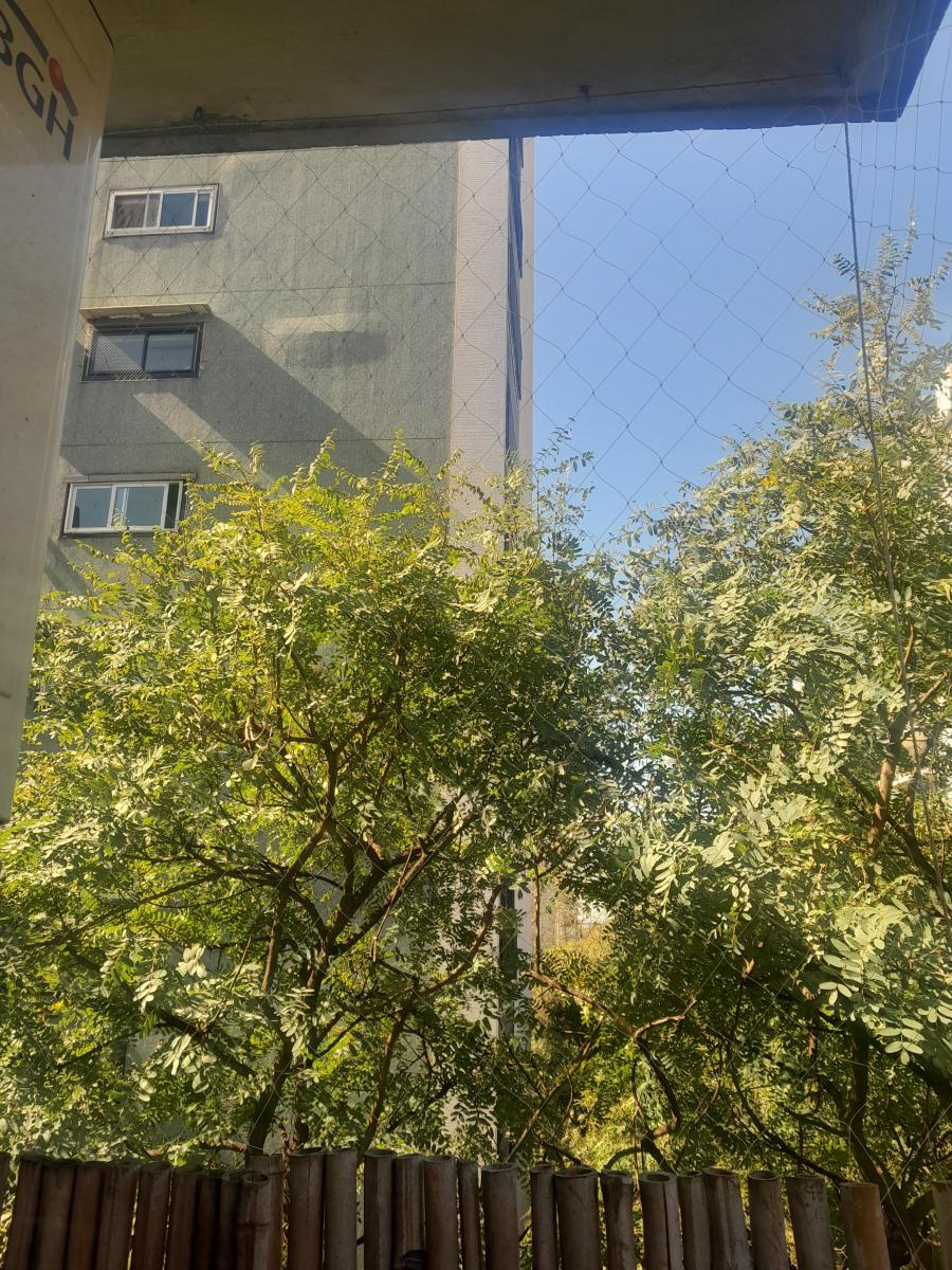 Venta 6 Ambientes Torre y Cochera Embajadas 5