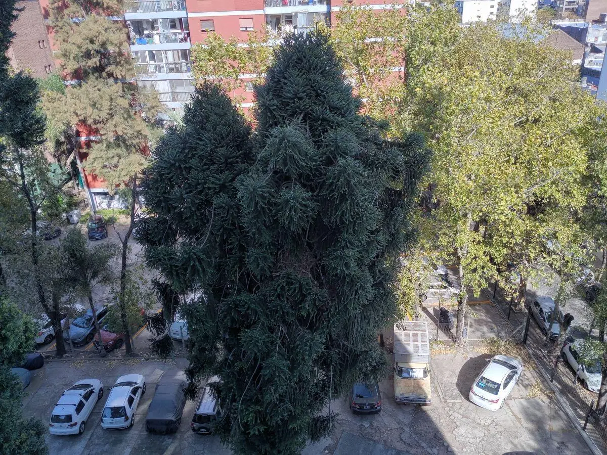 Departamento de 2 Ambientes con Balcon muy Luminoso en San Fernando Alquiler 5