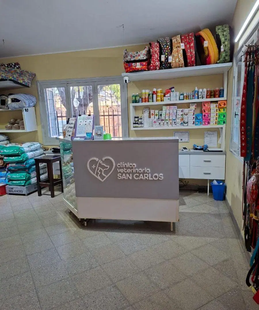 CASA ESQUINA ! APTA USO COMERCIAL /EMPRENDIMIENTO EDILICIO 3