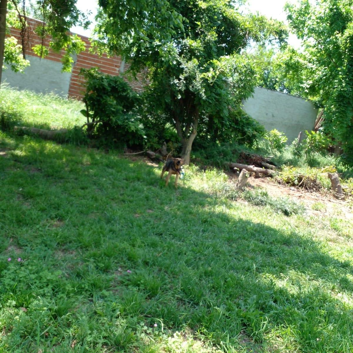 Venta Terreno en Los Cardales, Exaltación de La Cruz 4